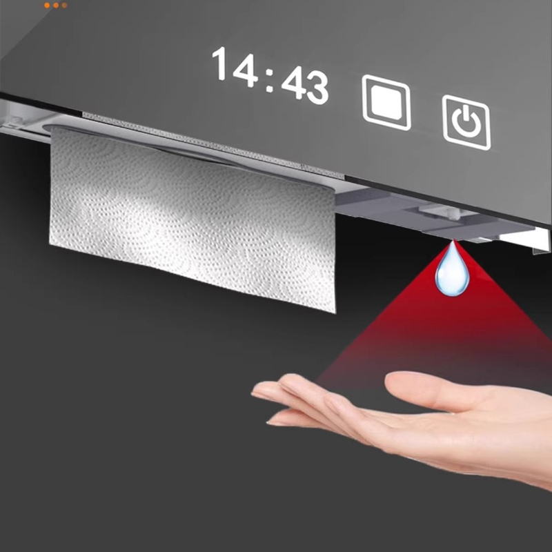 Stainless Steel Hidden Paper T - Home Bathroom Paper Towel Dispenser 评论和价格